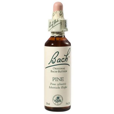 Pine (Pin) 20 ml - Bach
