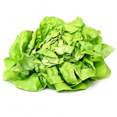 Salata verde ECO (buc)