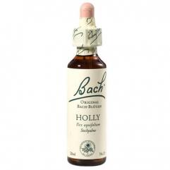 Holly (Ilice) 20 ml